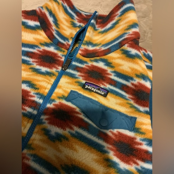 Patagonia Synchilla Coat Vest Size S - Picture 4 of 5